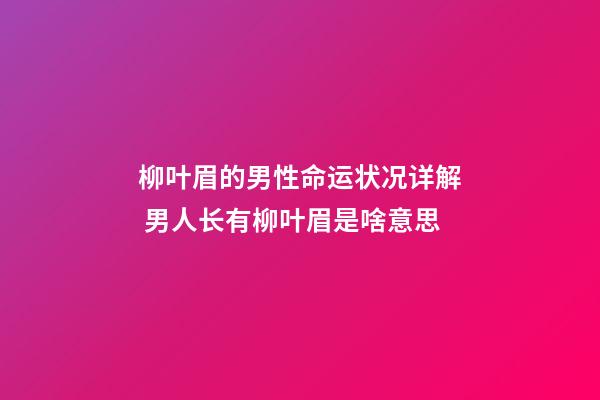 柳叶眉的男性命运状况详解 男人长有柳叶眉是啥意思